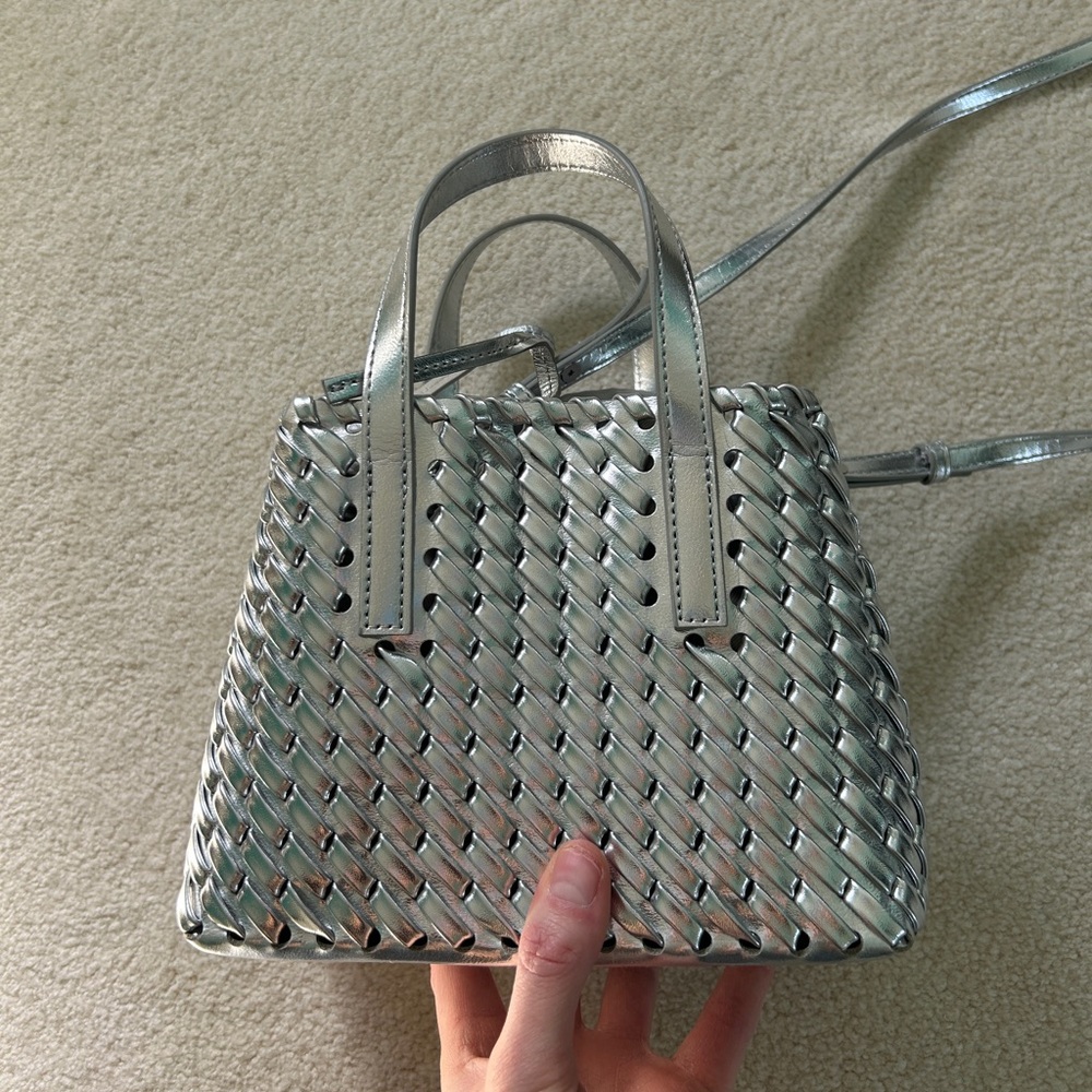 Silver Mango Bag